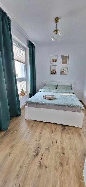 Apartament 6